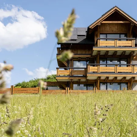 Apartman Dwa Wierchy - Premium